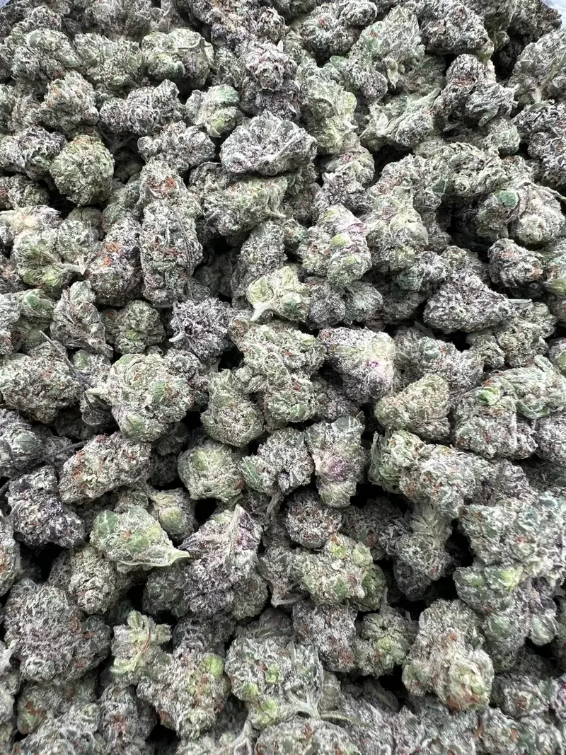 Coconut Milk Mediums | BudMember