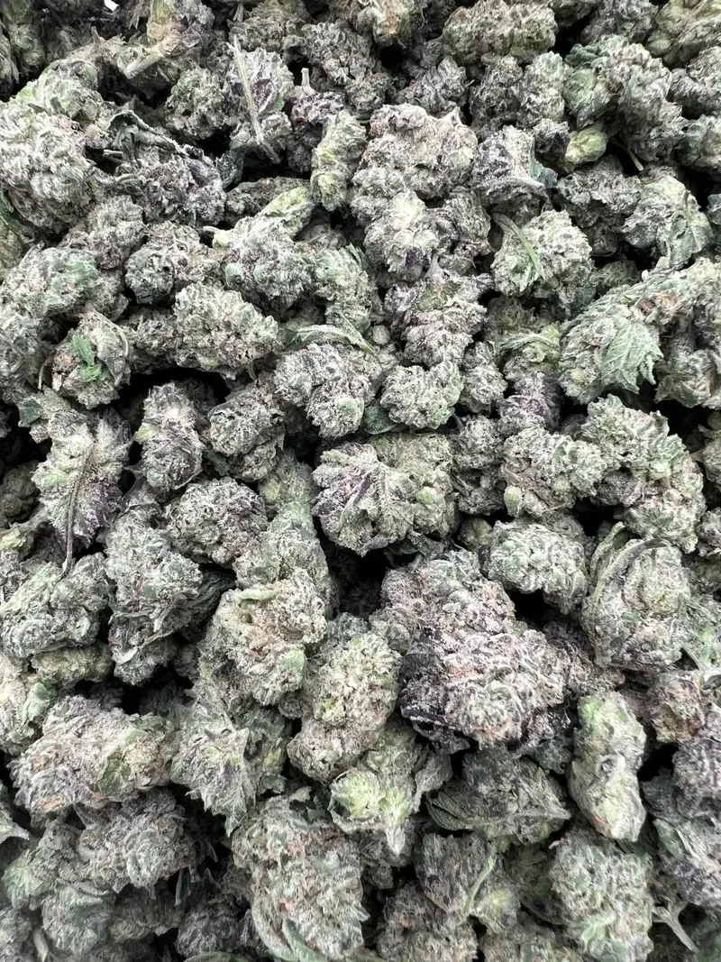 Samoa Cookies Mediums | BudMember
