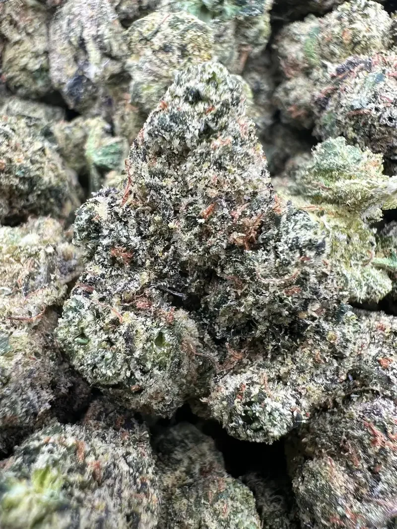 Pink Candy Gelato | BudMember
