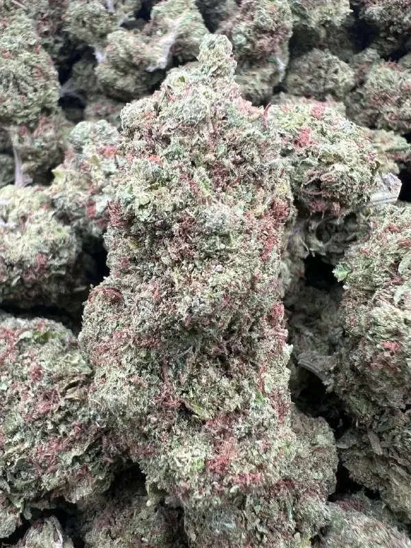 Golden Ticket | BudMember