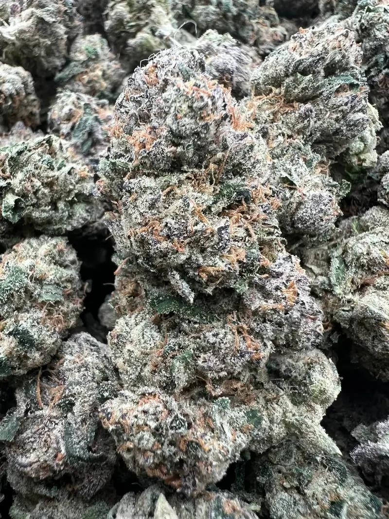 Redrum Candies | BudMember