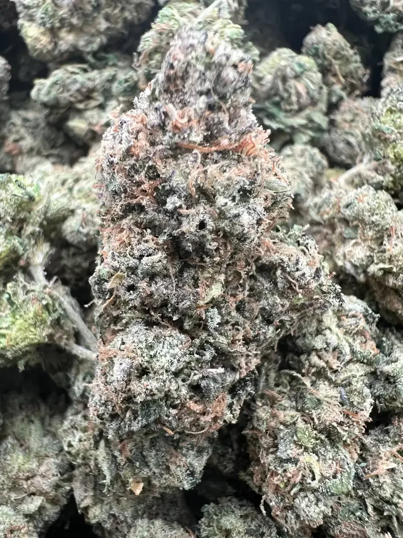 White Runtz | BudMember