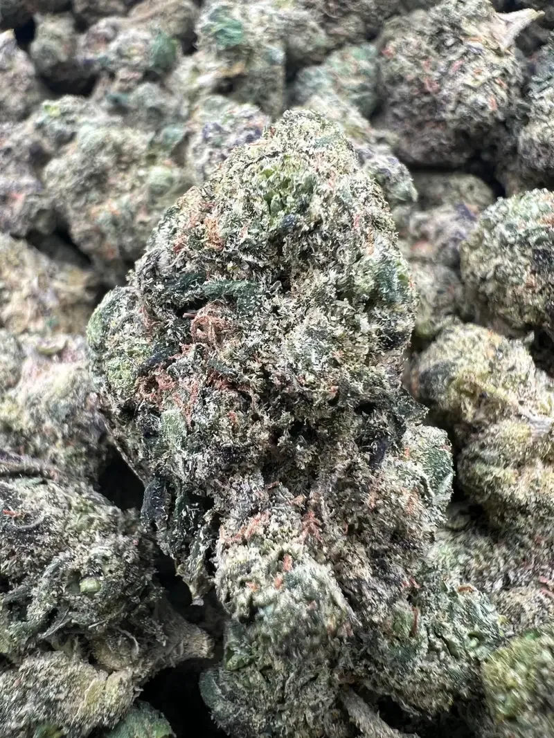 Blue Jokerz | BudMember