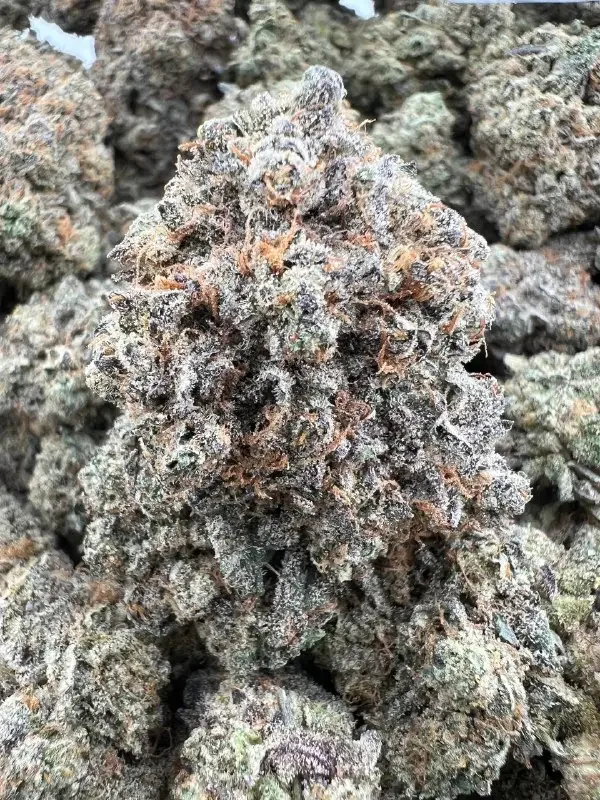HAAGEN DAZ Strain | BudMembers