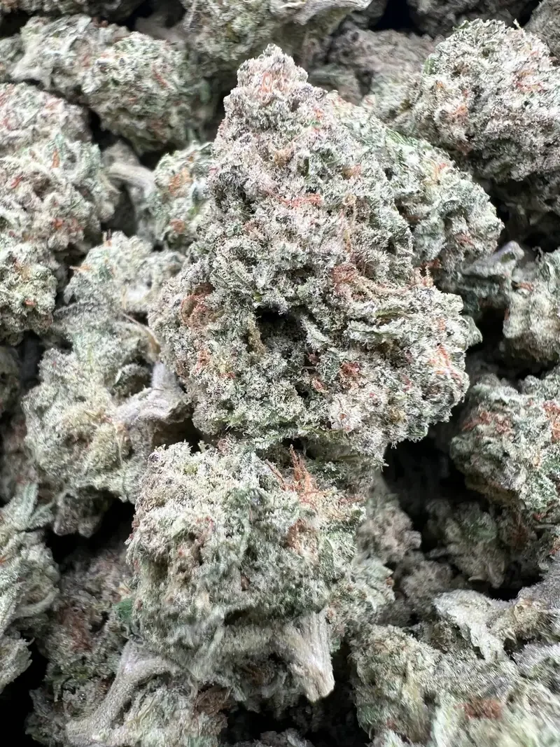 MAC 10 | BudMember