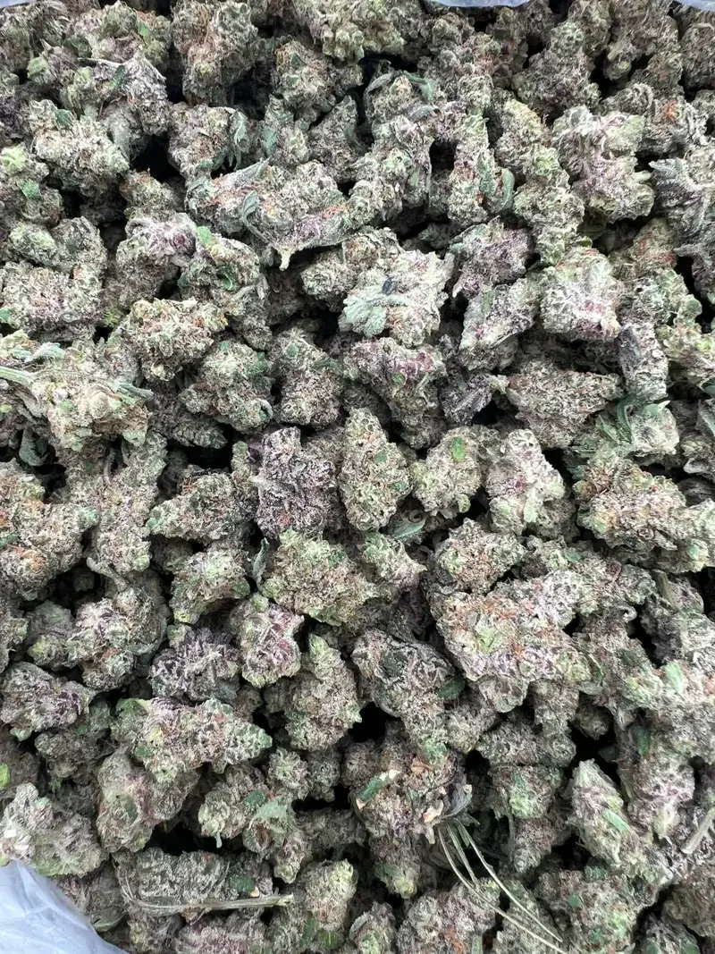 Blue Candy Mediums | BudMember