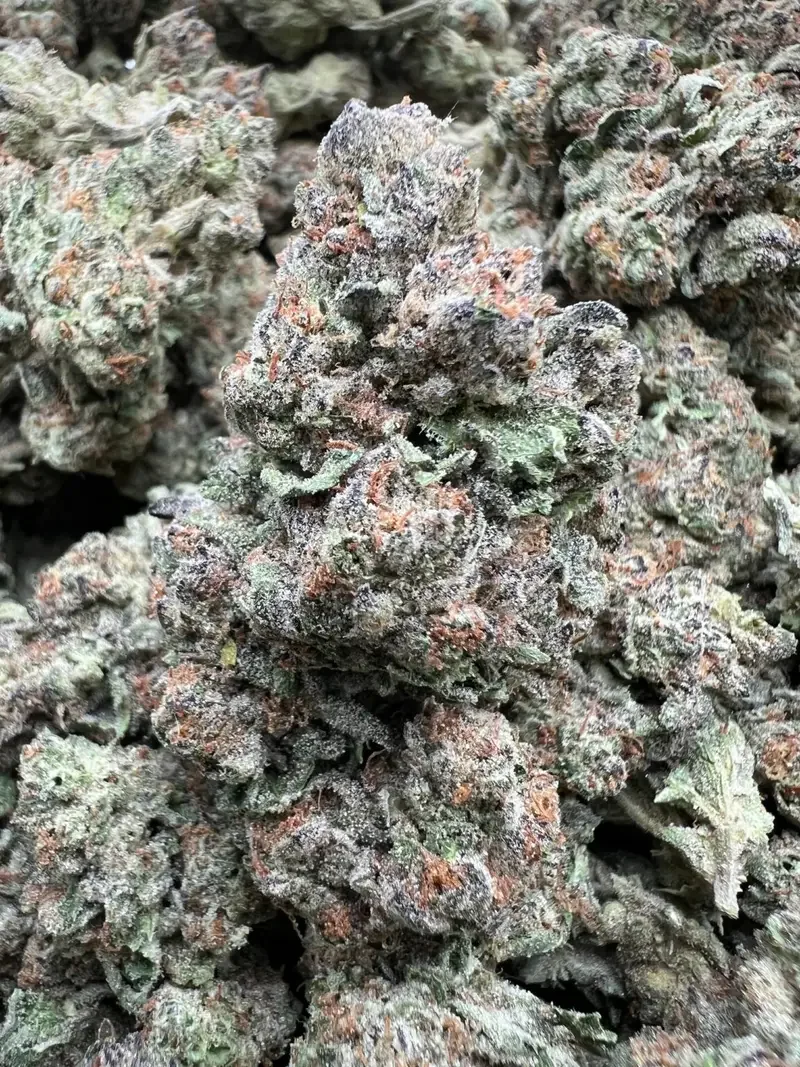 BLUEBERRY POP | BudMember