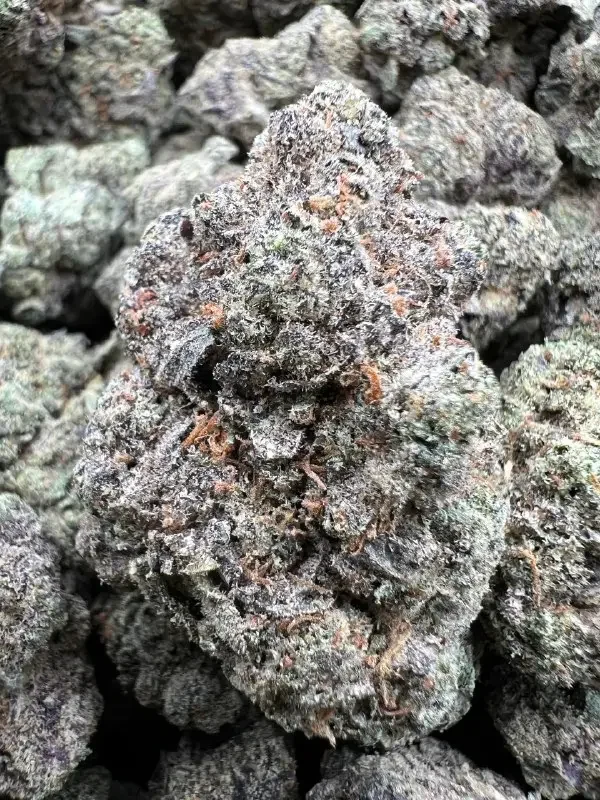 Astro Runtz BudMember