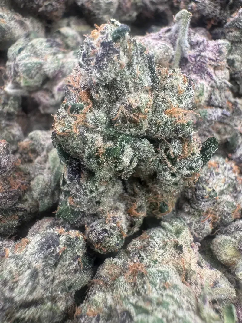 Kleenex BudMember