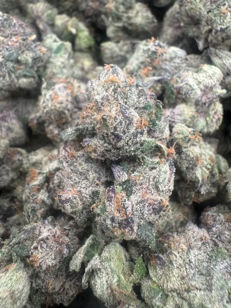 Styrofoam Cup | BudMember