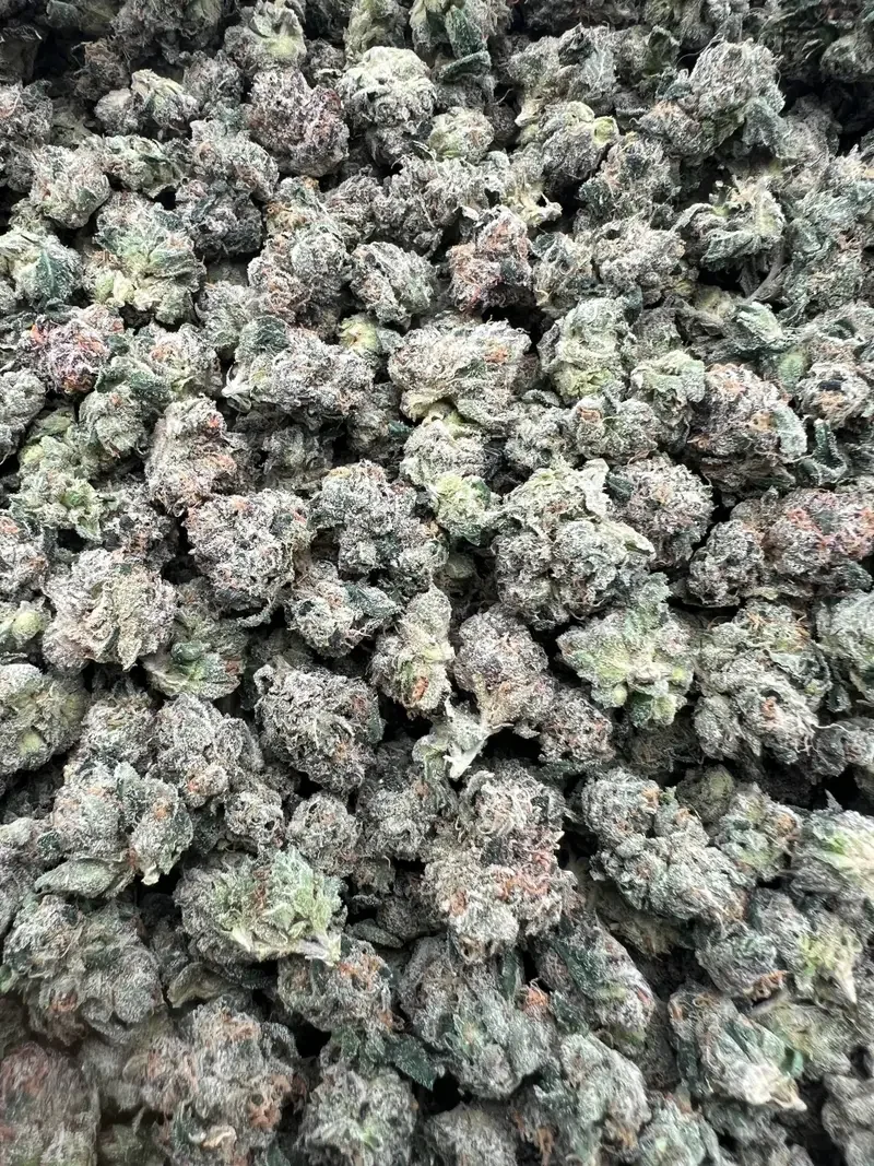 JR Redrum Candies Smalls | BudMember