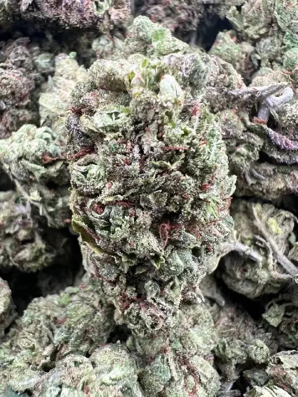 Venom Cookies |BudMember