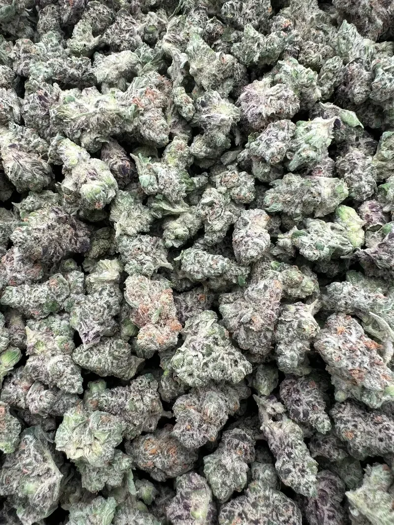 GMO Zkittlez Smalls | BudMember