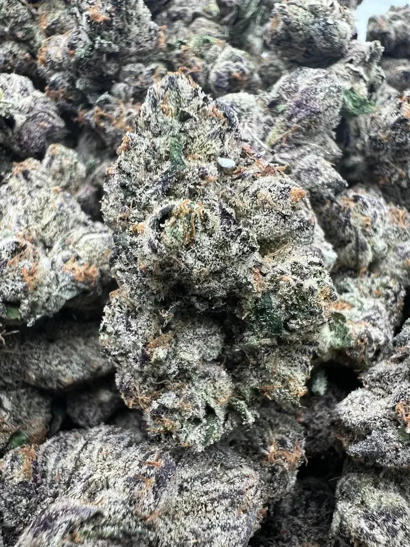 Sharpiez | BudMember