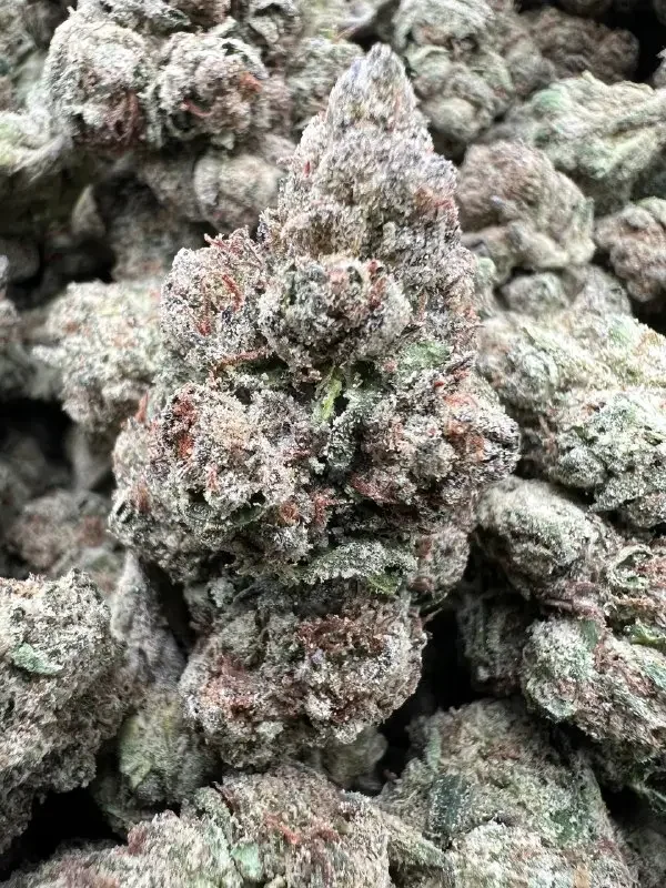 ROZAY RUNTZ | BudMember