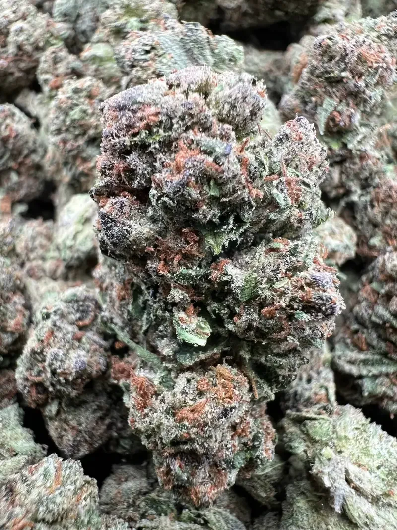 TRIPLE CANDY | BudMember