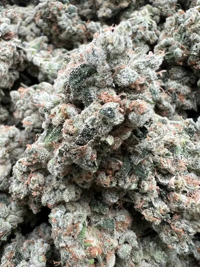 Unicorn Tears | BudMember