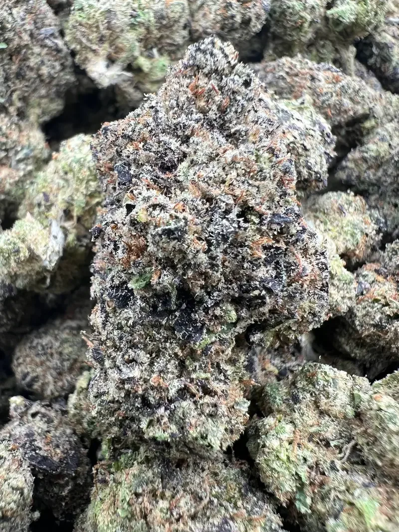 Blue Face Runtz | BudMember