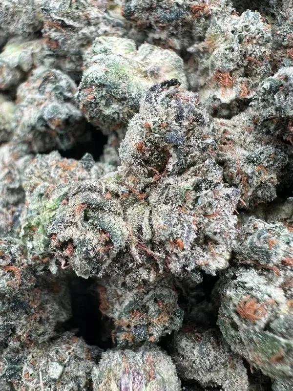 Zoap | BudMember