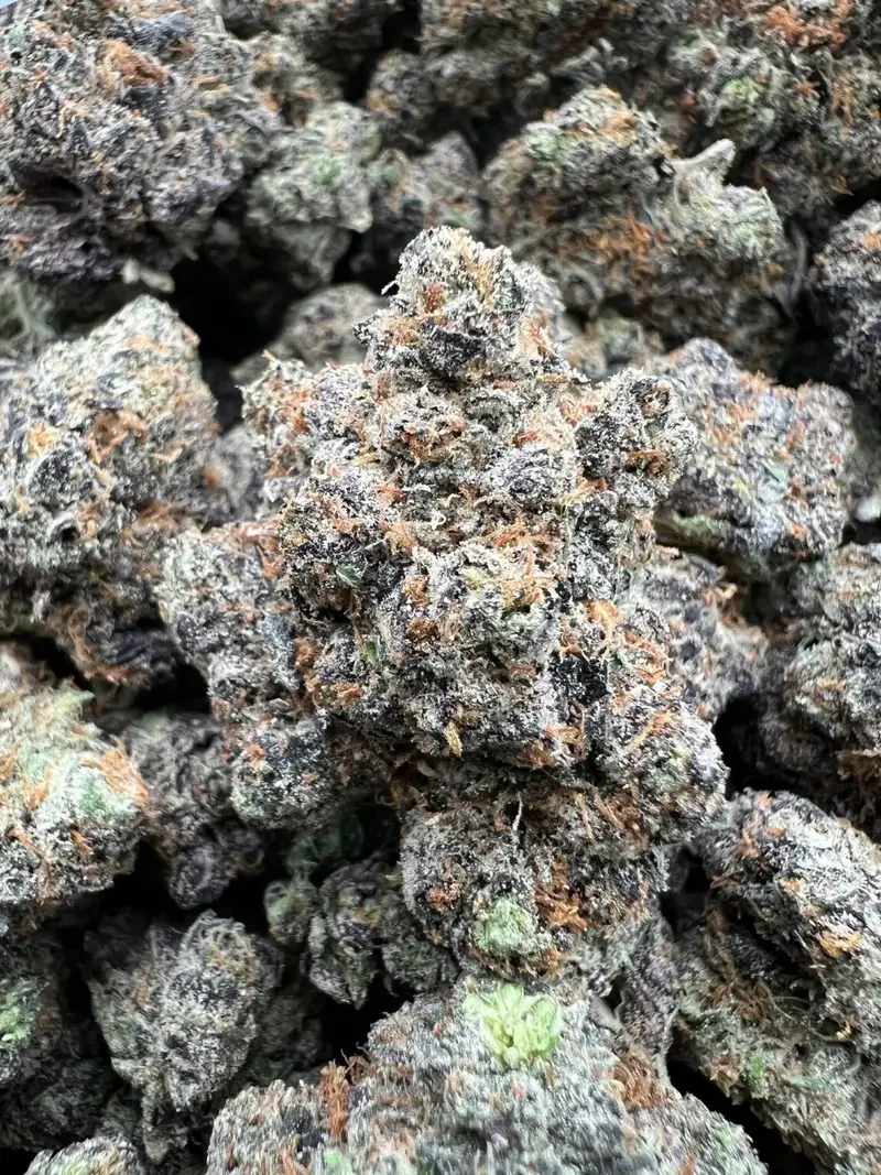 AMG RUNTZ | BudMember