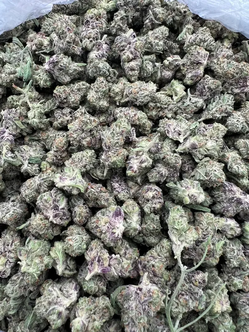 JR GG4 Smalls | BudMember