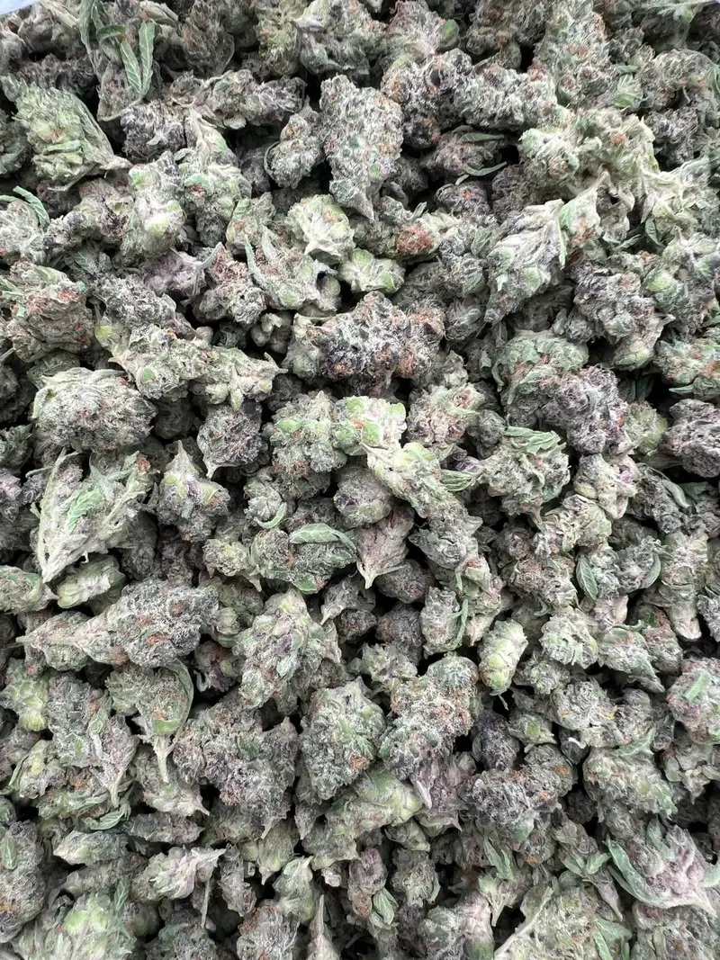 Gas Face Smalls | BudMember