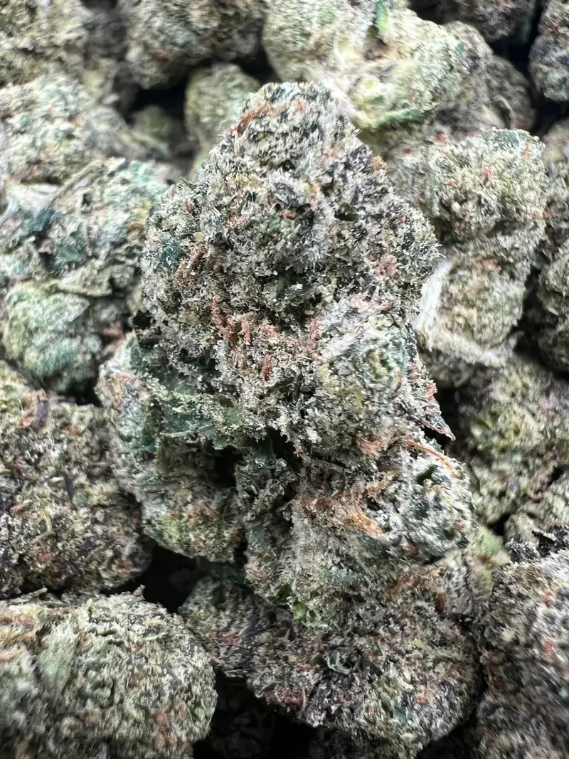 Sticky Bunz | BudMember