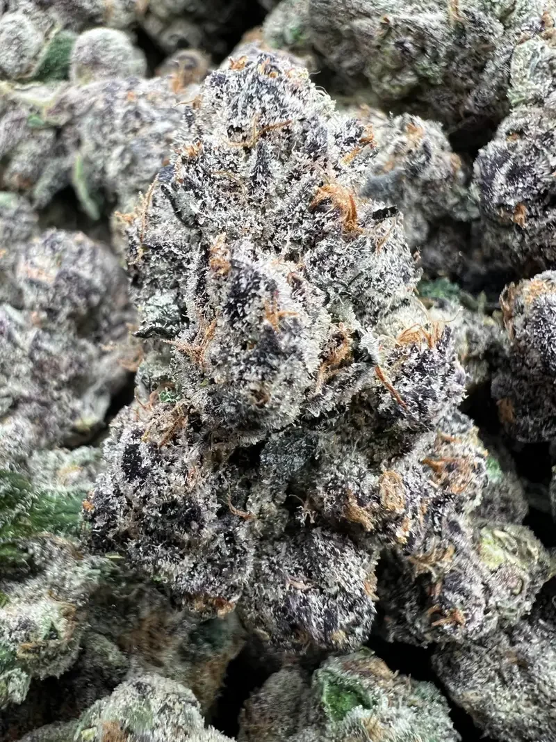 Warheadz | BudMember