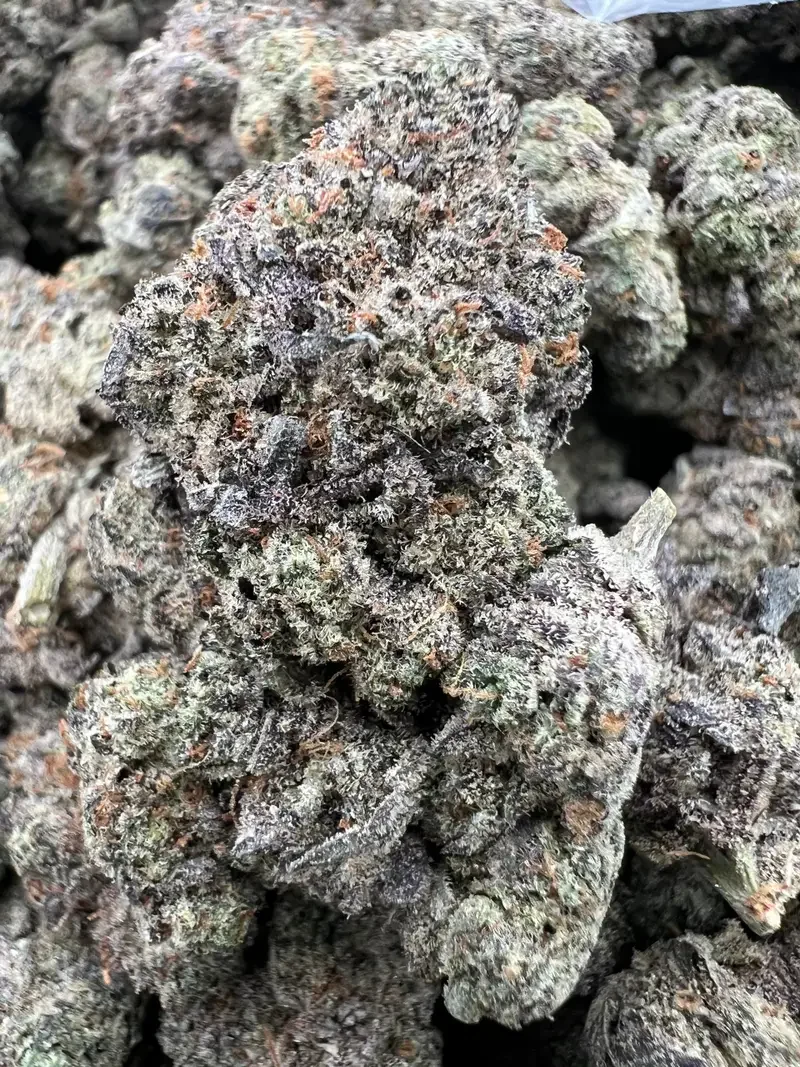 BudMember Blue Mochi