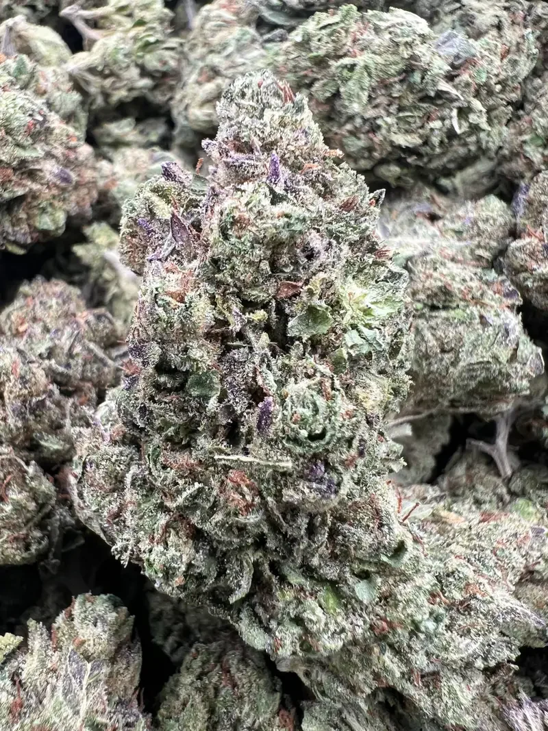 Sour Gummiez | BudMember