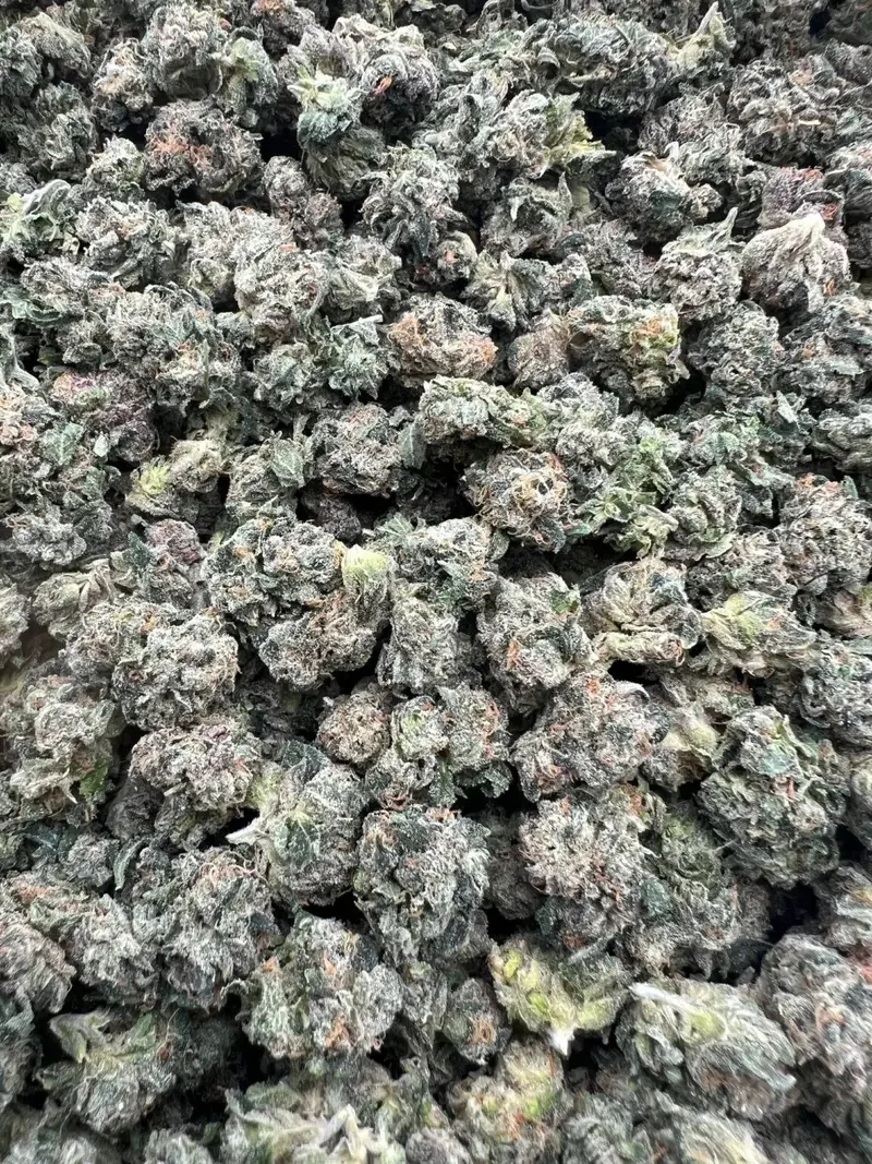 JR Lemon Cherry Runtz Smalls | BudMember