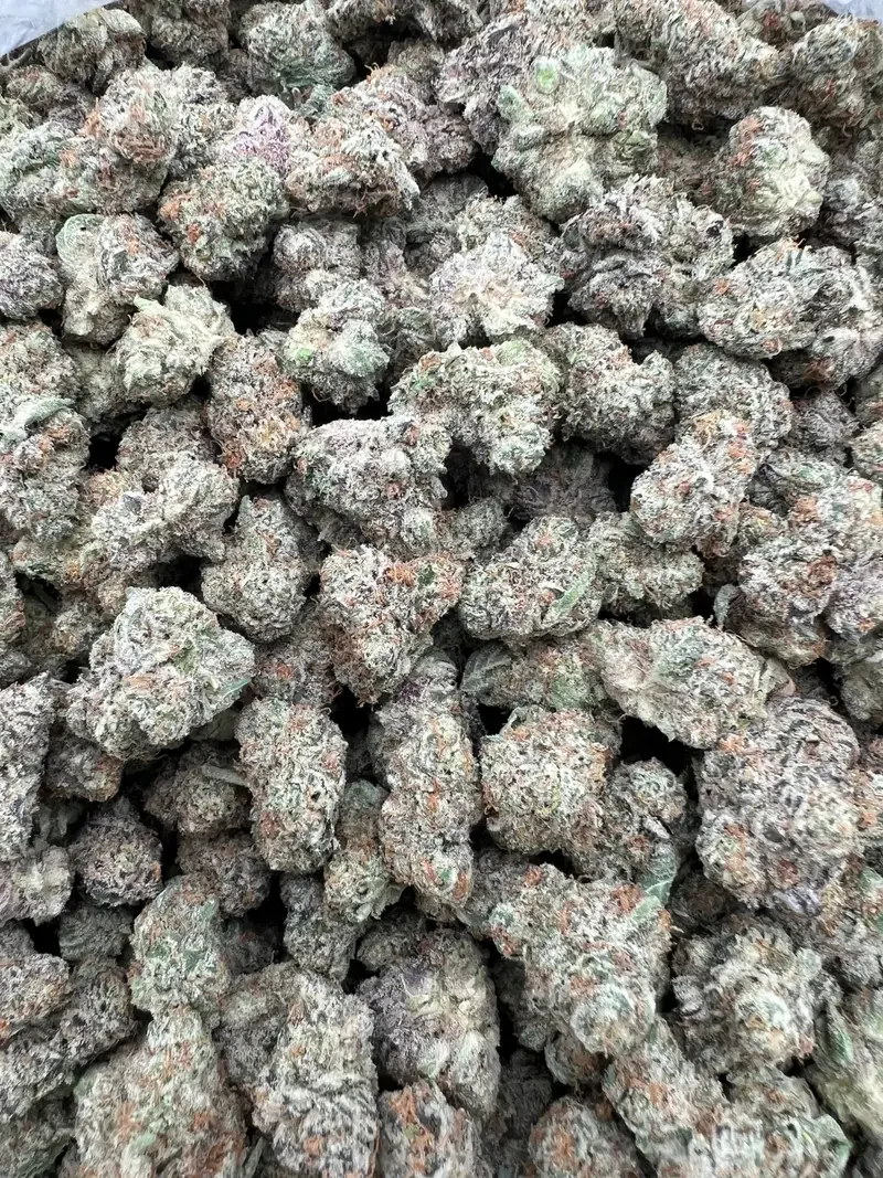 Lemon Spritz Mediums | BudMember