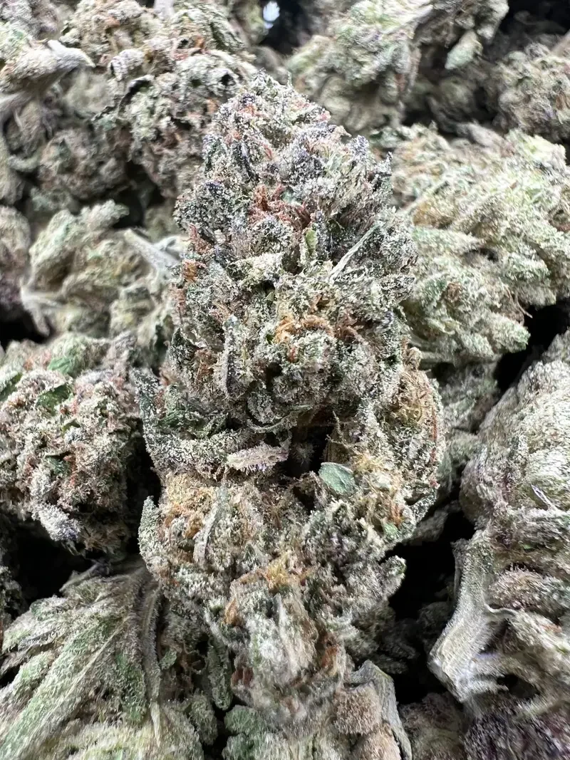 Rainbow Zoap | BudMember