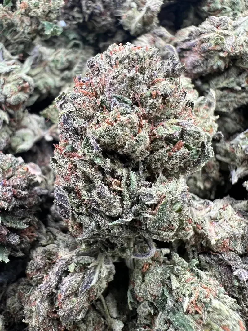 White Zunset | BudMember