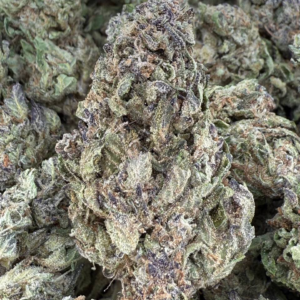 ANIMAL COOKIES | GASSY CANDY EARTHY NOSE