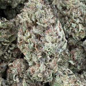 OASIS GAS CANDY NOSE