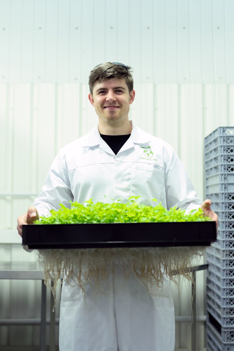 Scientist in a laboratory holding a tray of hydroponic plants, showcasing sustainable agriculture.